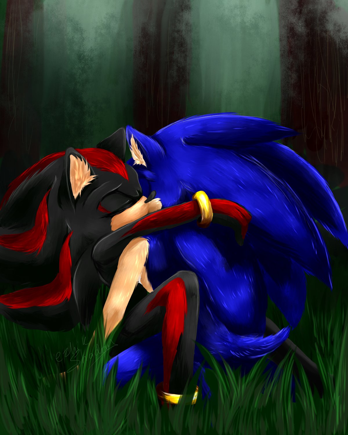 Sonadow loves Sonic x Shadow