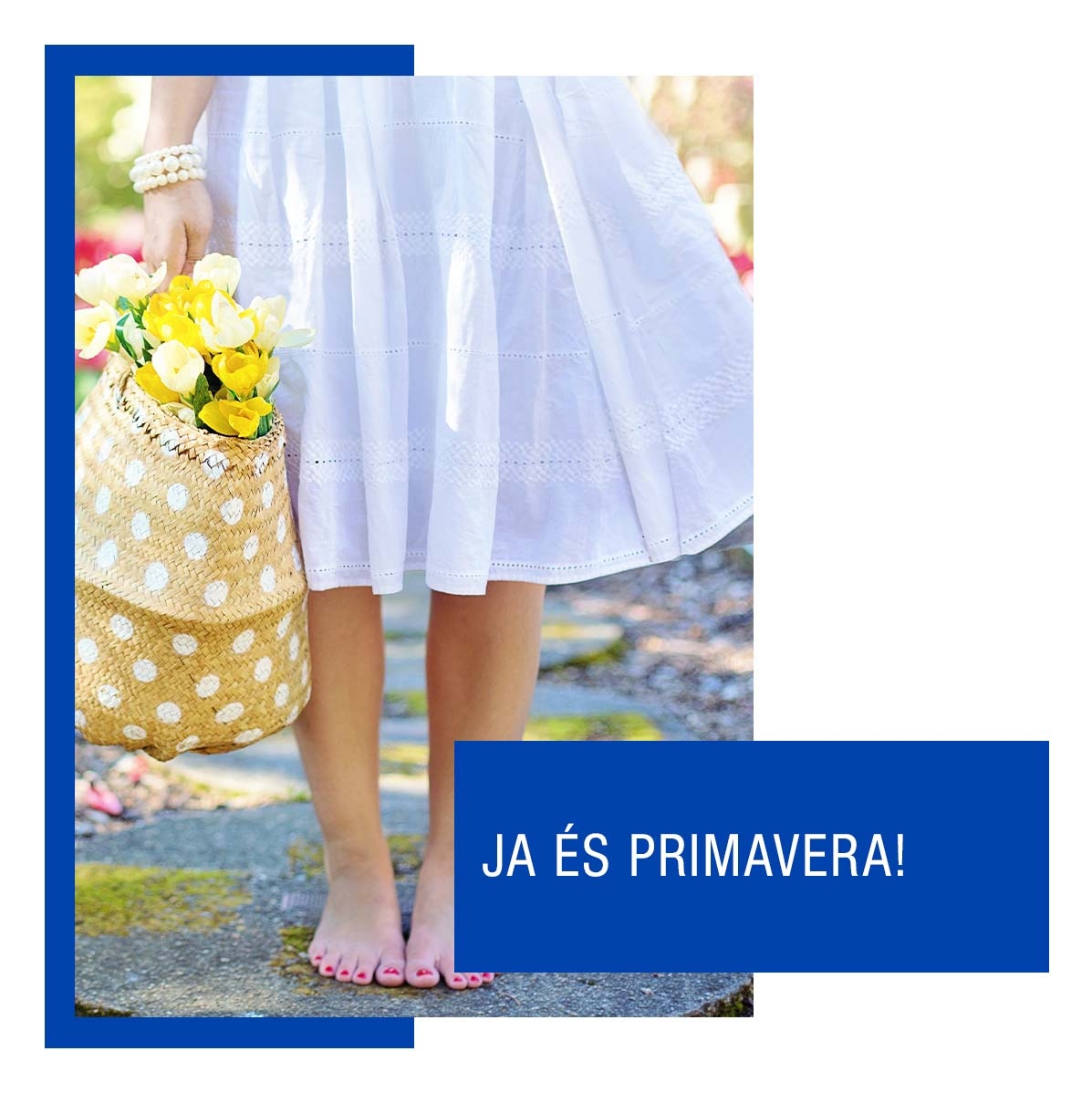 Sitges Shopping tweet media