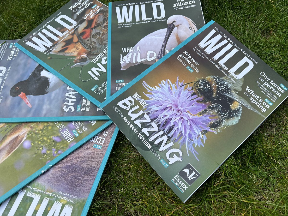 Sunset at the end of the day, a perfect time to read WILD, <a href="/EssexWildlife/">Essex Wildlife Trust</a>’s beautiful members’ magazine 🐝 

Don’t miss out on the next edition 👉 essexwt.org.uk/join