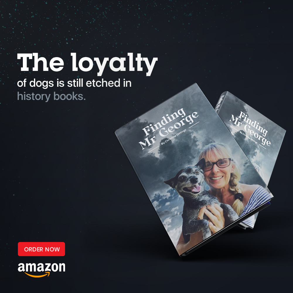 Finding Mr George tweet media