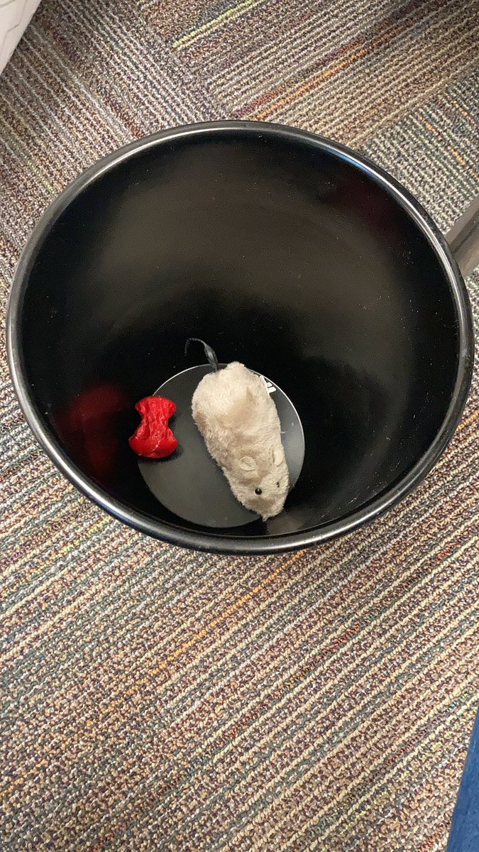 Don’t forget to read chapters 4 and 5 this weekend to check out if Ralph gets out of the trash can!