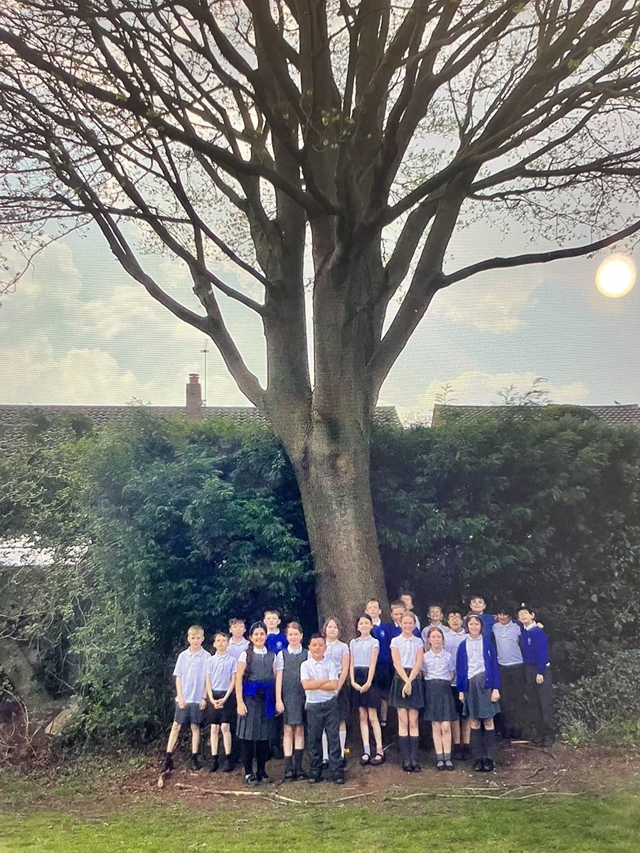 MrsThom36548028's tweet photo. @stmargaretsath1 Save our tree!!!! Year 5 are distraught that their beloved tree - Gods creation! Is in danger of being cut down! Please support our cause! #saveourtree https://t.co/QjPKV4E4f8