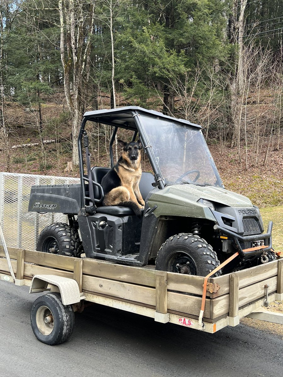 tomkitty15's tweet photo. Someone’s happy that his favorite toy is out of the garage and headed back to camp for the summer! https://t.co/xZhndkvHoW