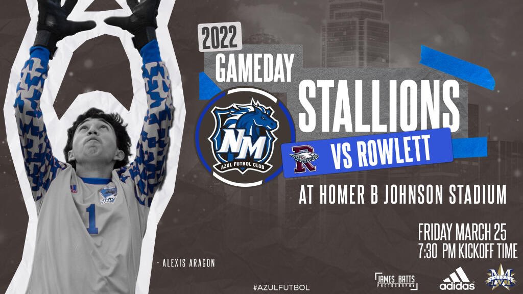 Stallion Media tweet media