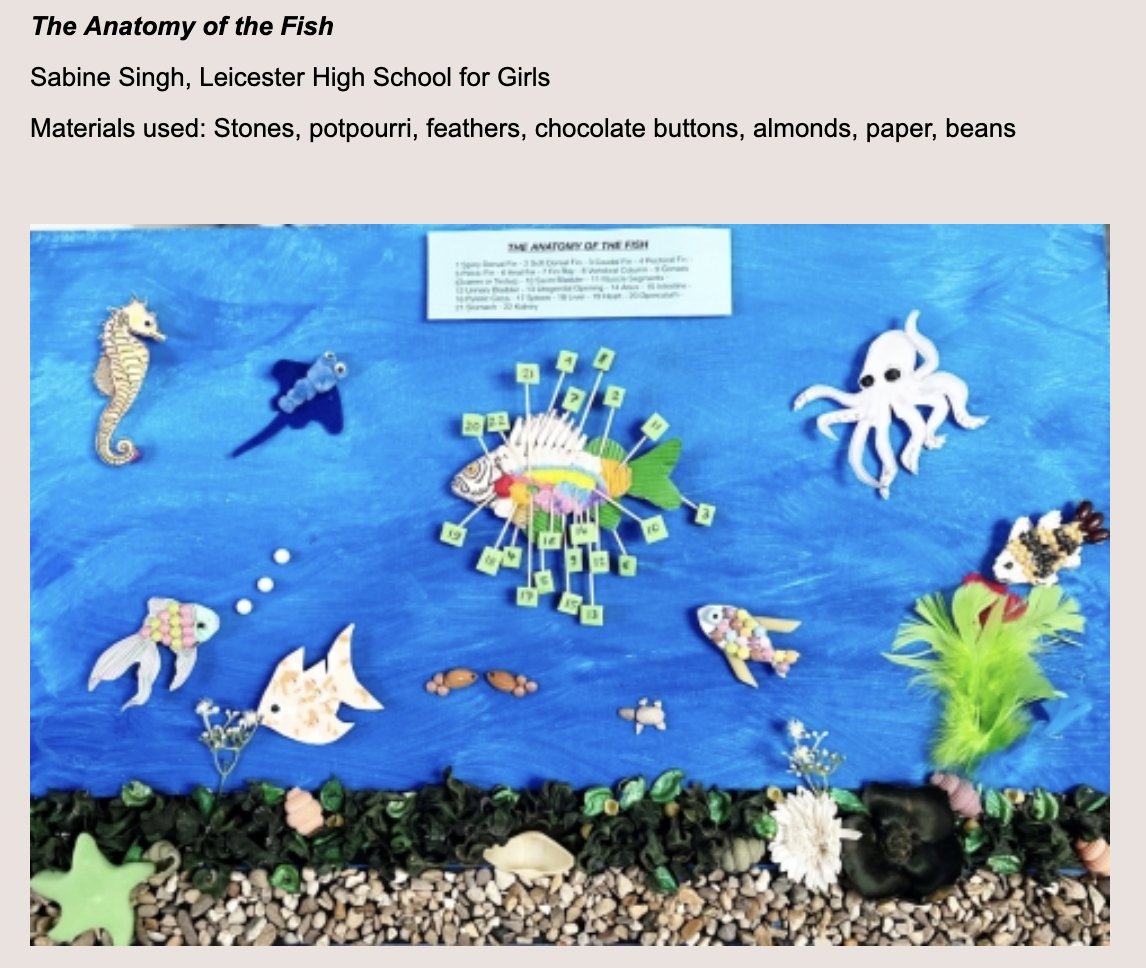 Lifeskillsedge's tweet photo. Great to see that my daughter's masterpiece (including 24 different materials) is one of the shortlisted entries for the #bioartattack competition organised by the Royal Society of Biology  @RoyalSocBio. 

#biology #fish #competition @leicesterhigh #royalsocietyofbiology https://t.co/PIwFFFD0AW