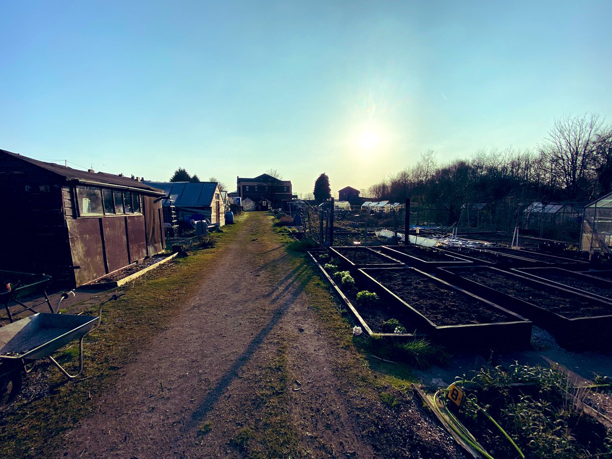 OurPlot23's tweet image. This makes me so happy ❤️ visiting the allotment after work in the sunshine ☀️ #allotment #Wellbeing #spring