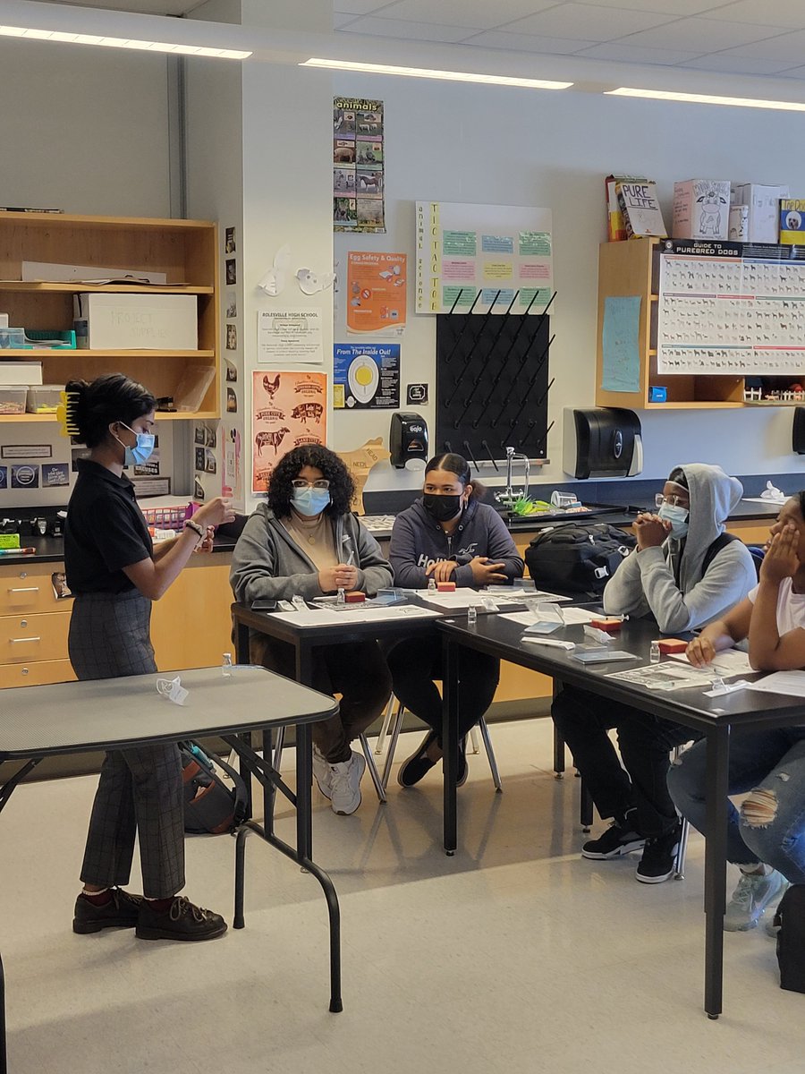 RHSCareer's tweet photo. An informative hands-on learning session from @NCStateVetPAC in the @RolesvilleRams Veterinary Assisting class today! Students learned how to draw up injections, administer vaccines for animals, & the benefits of the VetPAC program at @NCState. #myrolesville 🐶🐱🐄🦜💉🩺 https://t.co/7DeANwQoaR