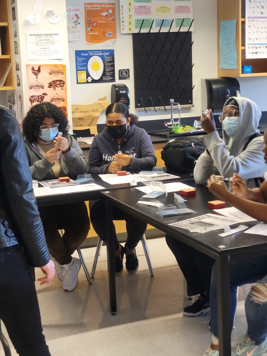 RHSCareer's tweet photo. An informative hands-on learning session from @NCStateVetPAC in the @RolesvilleRams Veterinary Assisting class today! Students learned how to draw up injections, administer vaccines for animals, & the benefits of the VetPAC program at @NCState. #myrolesville 🐶🐱🐄🦜💉🩺 https://t.co/7DeANwQoaR