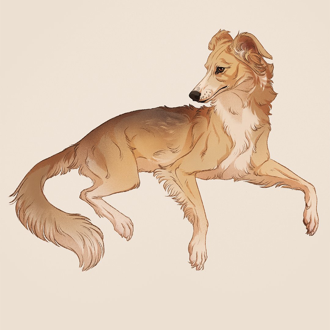 「Meet Emily's doggo, Quidditch! 」|Nora Potworaのイラスト