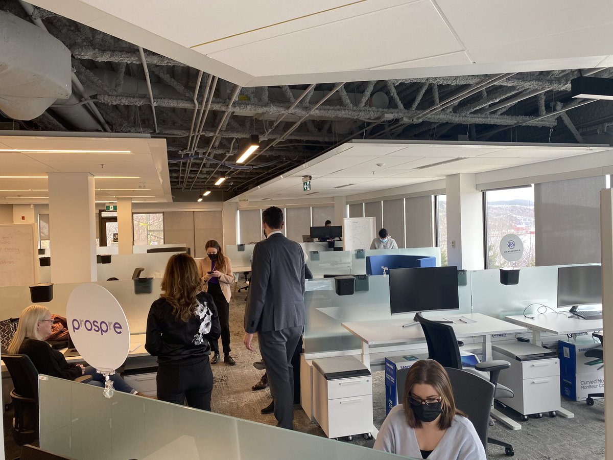 Andrew Goldsworthy tweet media