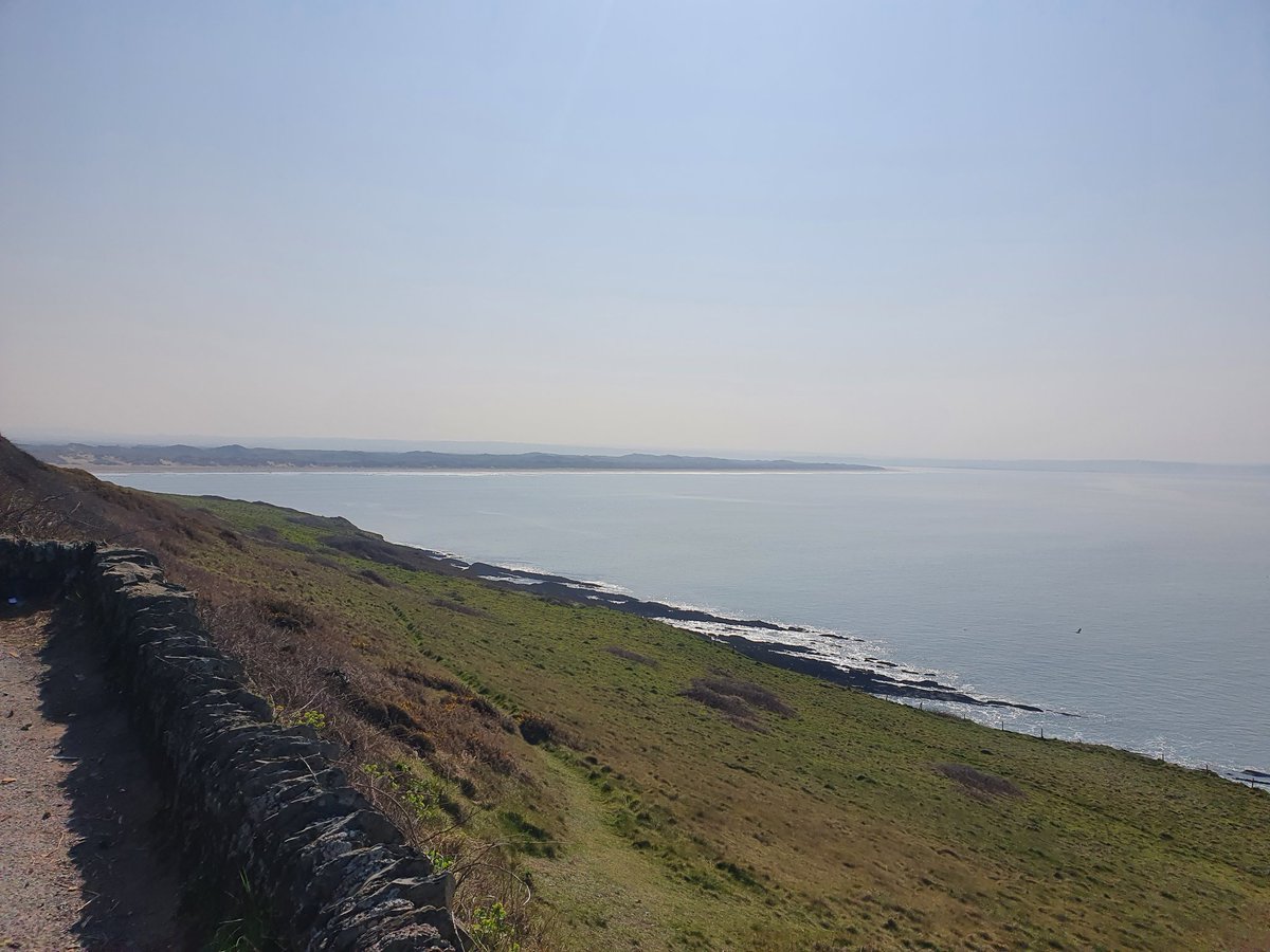 Tony Layton tweet media