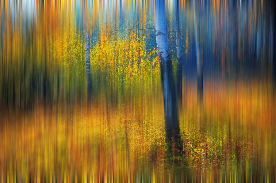 RT @pg2paloma: Jenny Rainbow    -  The golden forest -   Photographic Impressionism .

#photography    #art https://t.co/hXCDWqs4gL