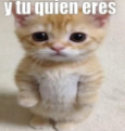ccdgoficial's tweet photo. @CapitalistaHs https://t.co/vjtGm911Mt