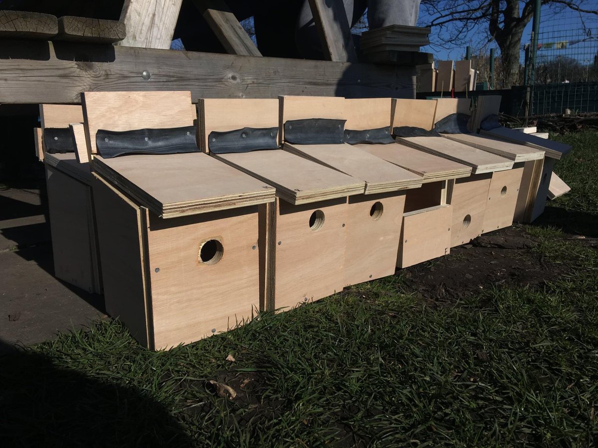 EdUniBirdSoc's tweet photo. Thanks to everyone who came to our 2nd biodiversity workshop! We’ve now made &amp; given away 74 nestboxes to families, students, members of the public &amp; park rangers + 22 more boxes to @LothianRG. We've given out 97 seed packets - that’ll make 400m2 (1.5 tennis courts) of meadow! https://t.co/bDP3pt7IuE