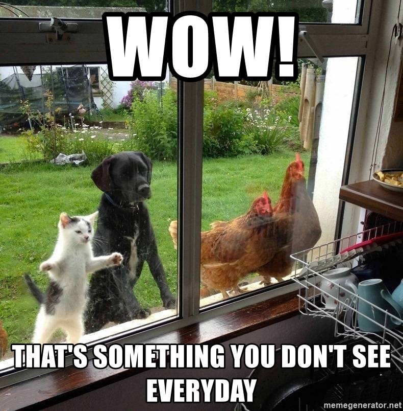 McBINANCE tweet media