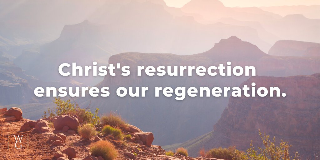 Wayne Grudem tweet media