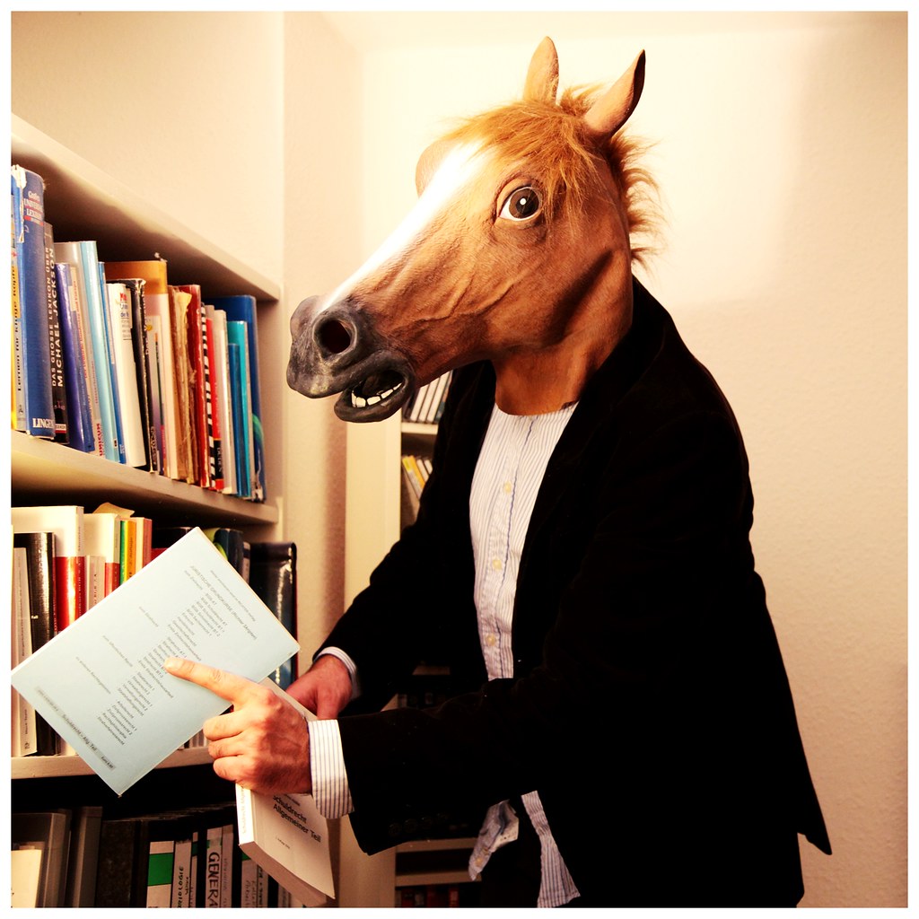 _AgingHipster_'s tweet photo. This horse can read! https://t.co/qqcdOMn0Vm