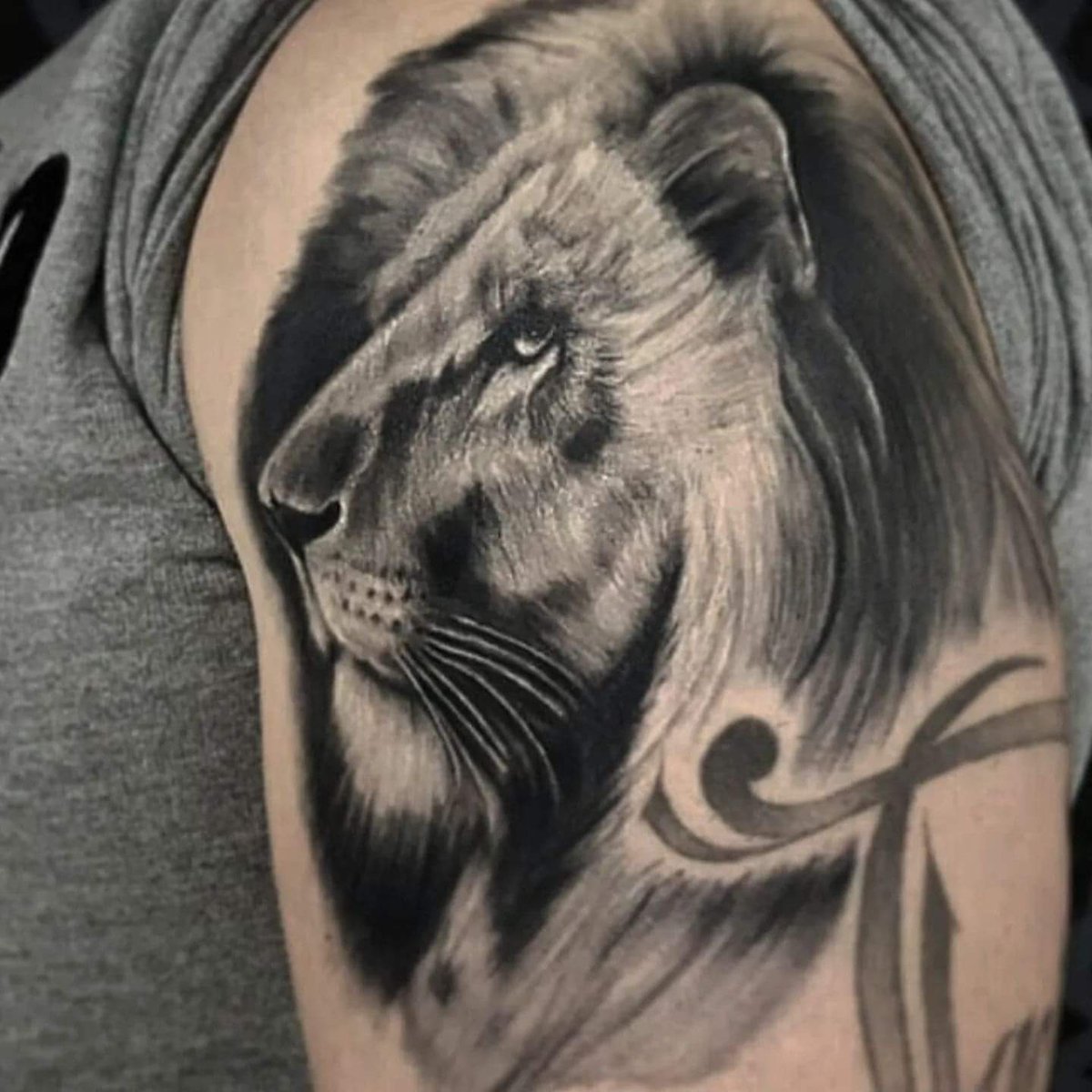 InkTailor's tweet photo. Just a big cat, Meow. 
I hope everyone has a great weekend! 🤙🤙
@SilverbackInk #silverbackink #tattoo #inktailor #CatsOfTwitter #FBF https://t.co/cTqiXI4wUg
