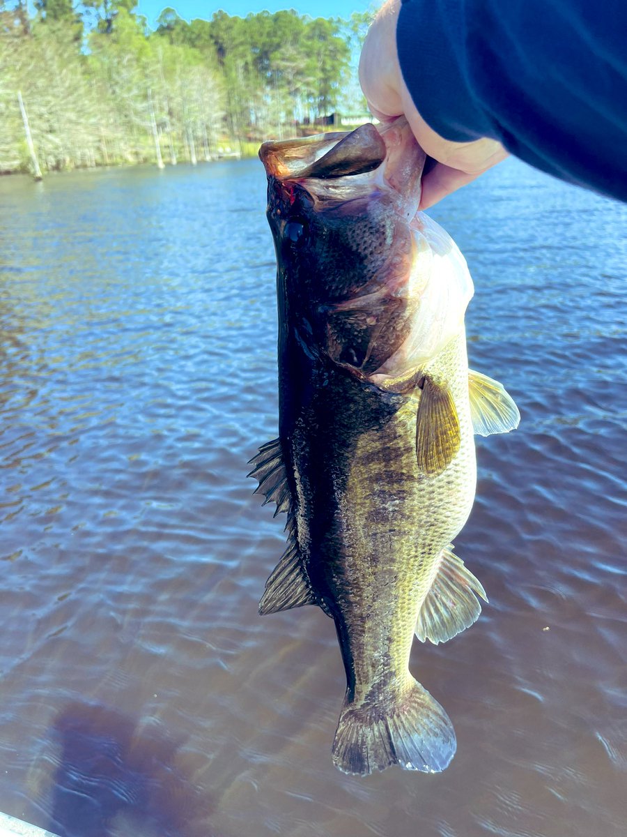 So this happened today inspite of the wind 🌬 💨 !