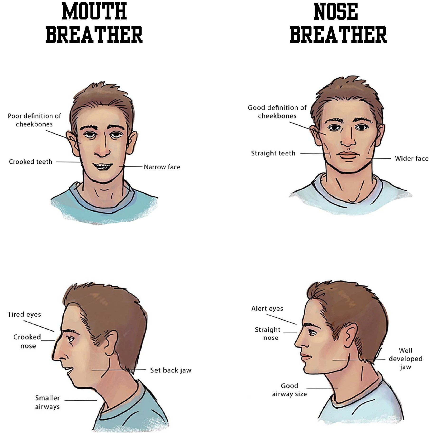 дыхание через нос. Breathe in nose. вдох носом. вдох носом. How better to breathe through the nose?.