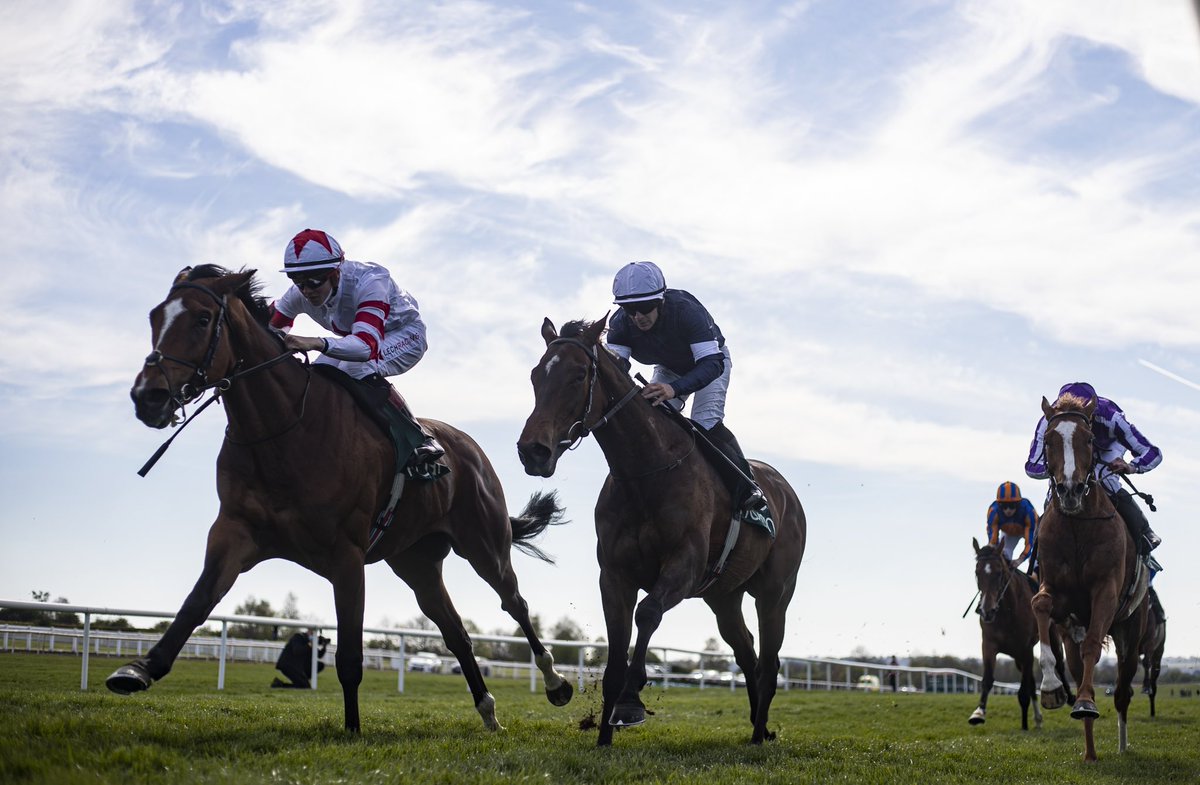 NavanRacecourse's tweet image. Best of luck to Baron Samedi who runs tomorrow in Dubai Gold Cup night for @JosephOBrien2 💫 

Won the G3. Vintage Crop Stakes here last year under @DylanBrowneMcM &amp;amp; went on to win the Belmont Gold Cup on his next run.

This years renewal 👉 Saturday 23rd April 

#NavanForm