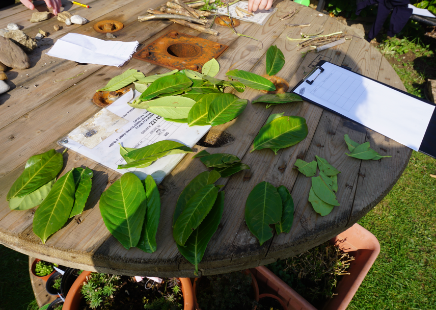 GreatLinfordPri's tweet photo. Great outdoor maths this week! The weather also played its part! https://t.co/6VNbdFzwM3