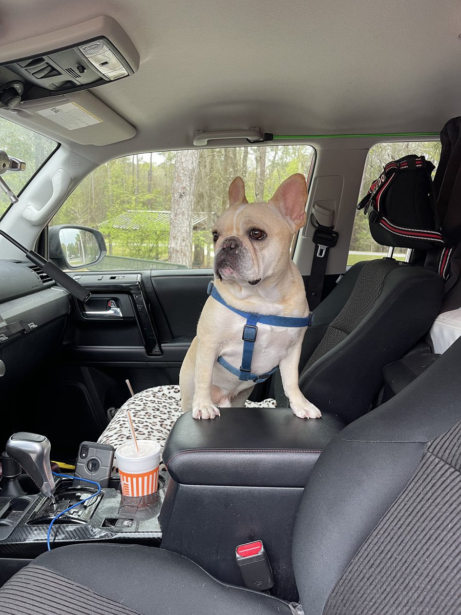 Manny (@mannywedges) on Twitter photo 