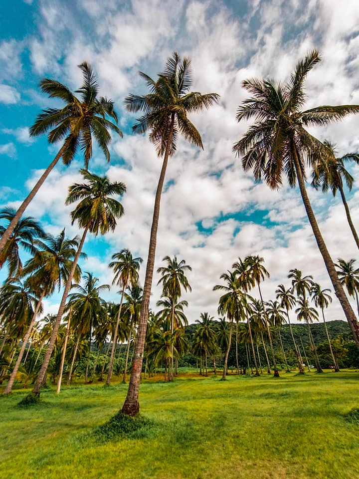 Tenemos el plan perfecto para este fin de semana en la playa de Chacala ; incluye mar, arena, sol, mucha aventura y diversión. 🏖️

📍Compostela

#LaPuertaALaMagia
