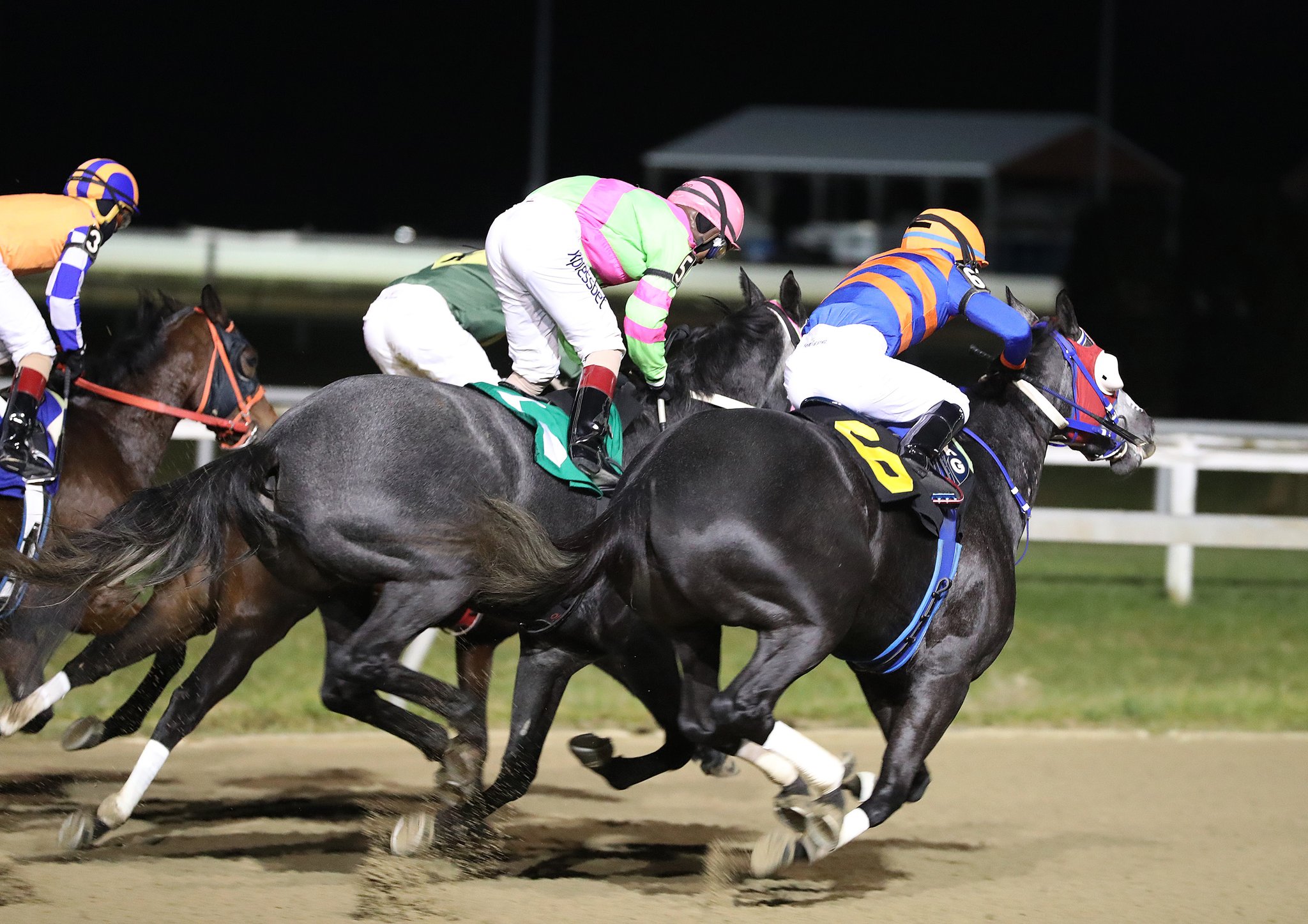 Hollywood Casino at Penn National Race Course on Twitter "RT PA_HBPA 8 races to wrap up the