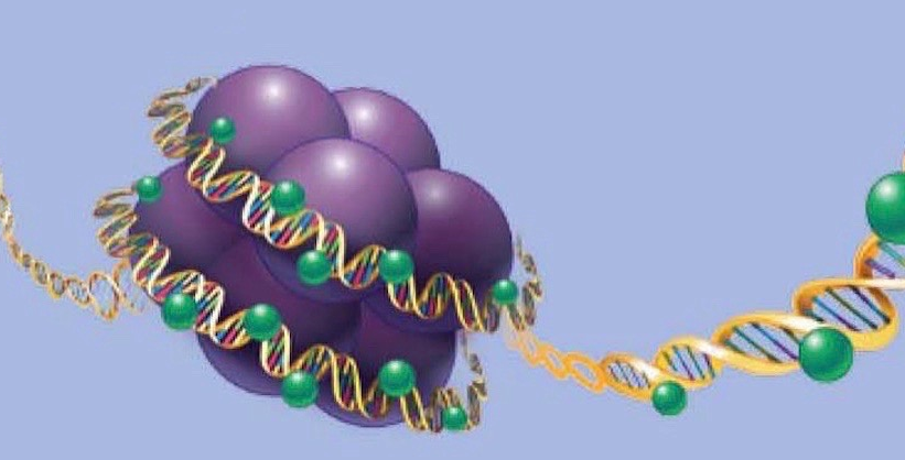 Mayo Clinic is expanding the boundaries of genomic evaluation to include the methylome, which can shed light on many previously unsolved diagnostic odysseys. <a href="/koleilat_alaa/">Alaa Koleilat, Ph.D.</a> presents experiences of applying this new exploratory tool in diagnosing rare disorders at #ACMGmtg22.