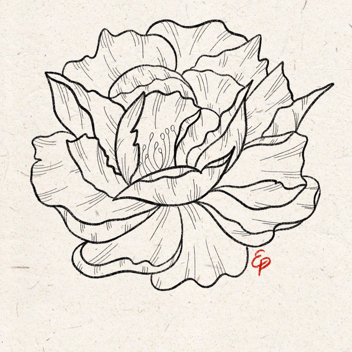 ehime_mea's tweet photo. En ce moment je dessine des fleurs 🥰🌸 https://t.co/XtO6wfoNUa