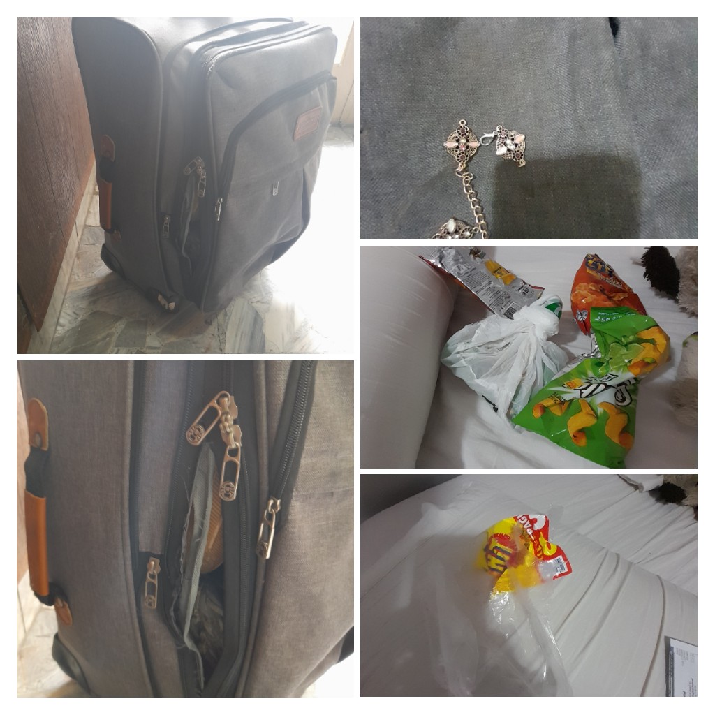 islekztro's tweet photo. 5 días esperando que ubicarán mi valija para hoy llevarme la sorpresa de qué fue dañada donde me robaron pertenencias y me revolvaron todo a su antojo¿Quién responde?Uno deposita su confianza al contratar sus servicios y te salen con esto
@BAconsumidor @assistcard @VuelaJetSMART https://t.co/D9RKsXbICk