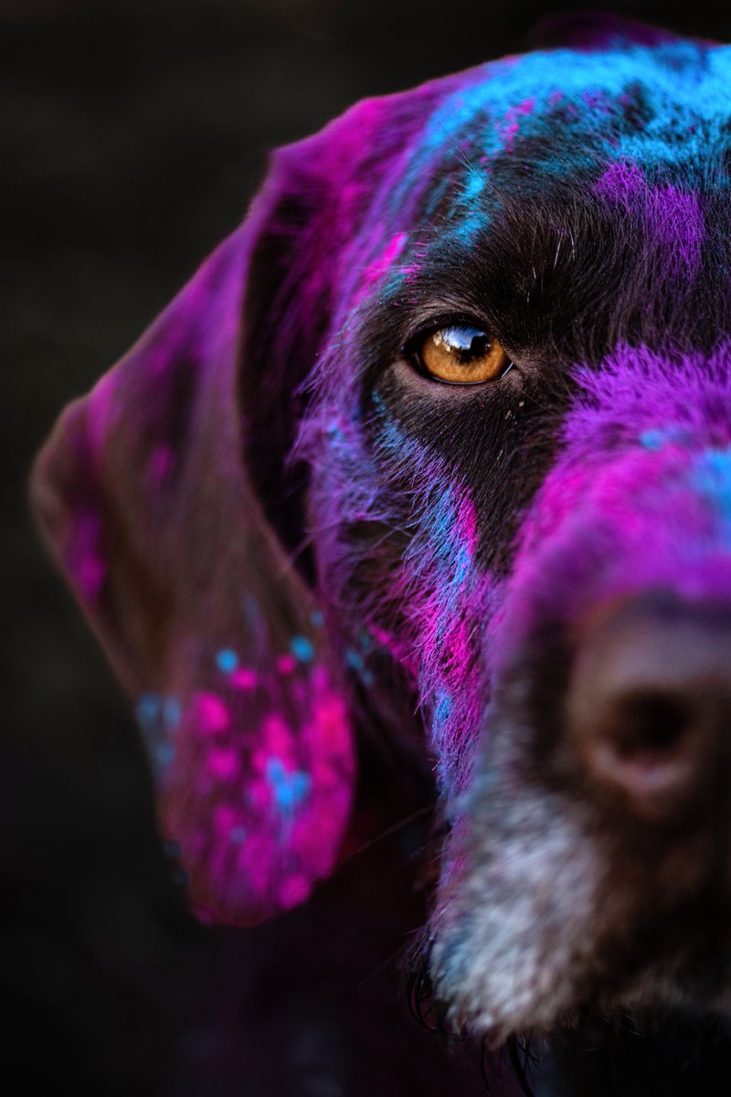 Heidi, Toph & Aang tweet media