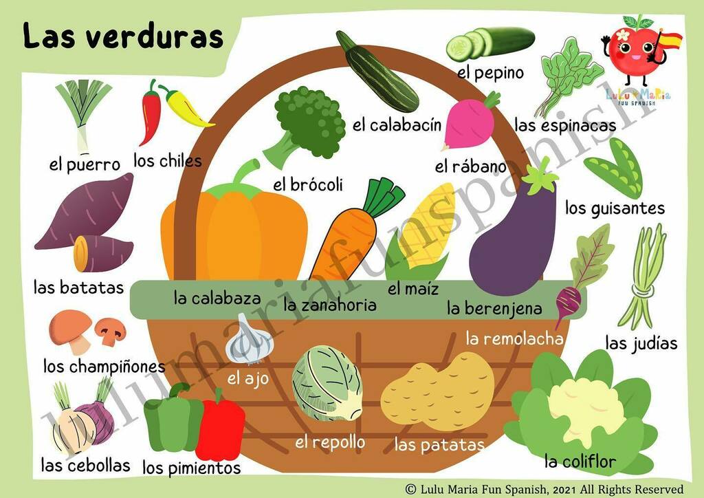 LuluMariaFunSp1's tweet photo. Vegetable video has just been added to YouTube 🥗🥒🥦🥬🥕🌶🥗🍆🌽
Go have a practice. Link is in the bio. 
#learningspanishisfun #learningspanishonline #languagelearningisfun https://t.co/lxRcdlqtfV https://t.co/VjqMGw5K5P