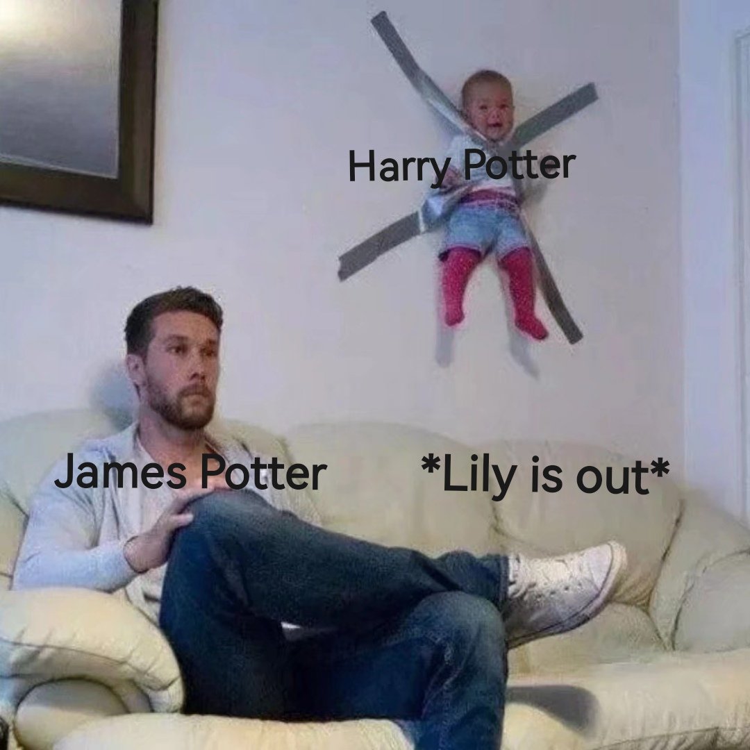 017_Ciel's tweet photo. #HarryPotter 
Well…just some memes. https://t.co/f9mTPU1jlq
