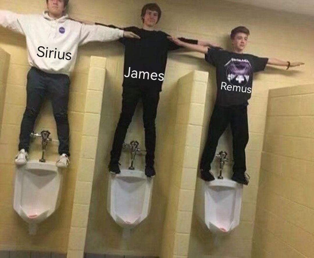017_Ciel's tweet photo. #HarryPotter 
Well…just some memes. https://t.co/f9mTPU1jlq