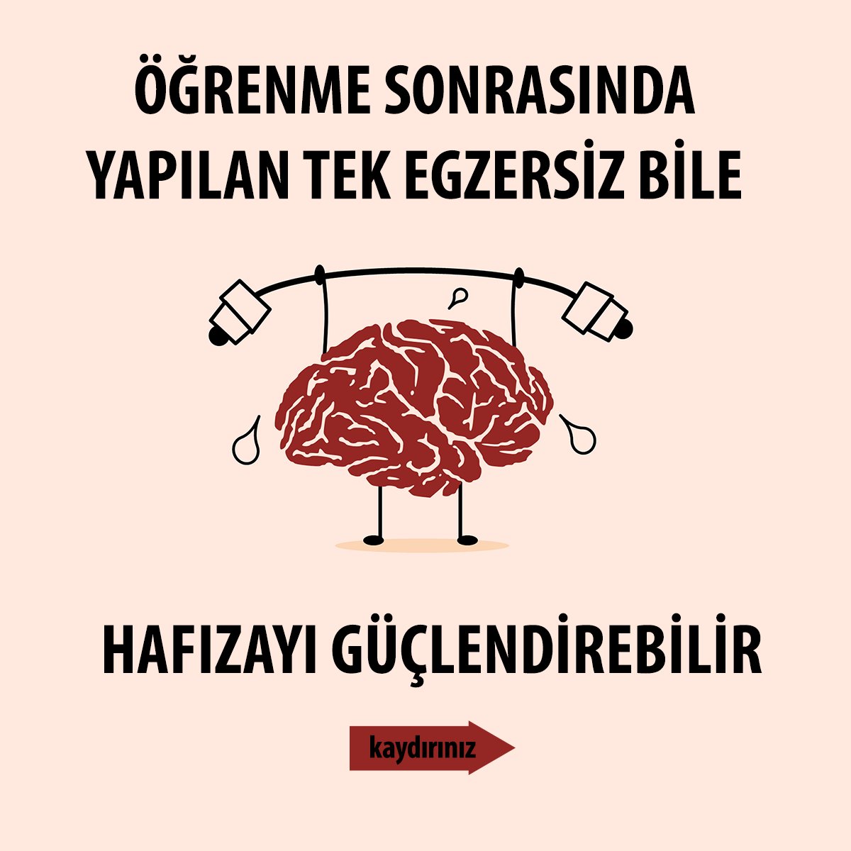 skaraismailoglu's tweet photo. Çünkü fiziksel egzersizler sadece vücut kıvrımlarınız için değil, beyin kıvrımlarınız için de çok önemli :)

Egzersizin öğrenme üzerine pozitif etkileri olduğunu zaten biliyorduk ama bu çalışmaya göre egzersiz zamanı da önemli olabilir...
https://t.co/5GyVsHdOqg https://t.co/FbtDrKrBpQ