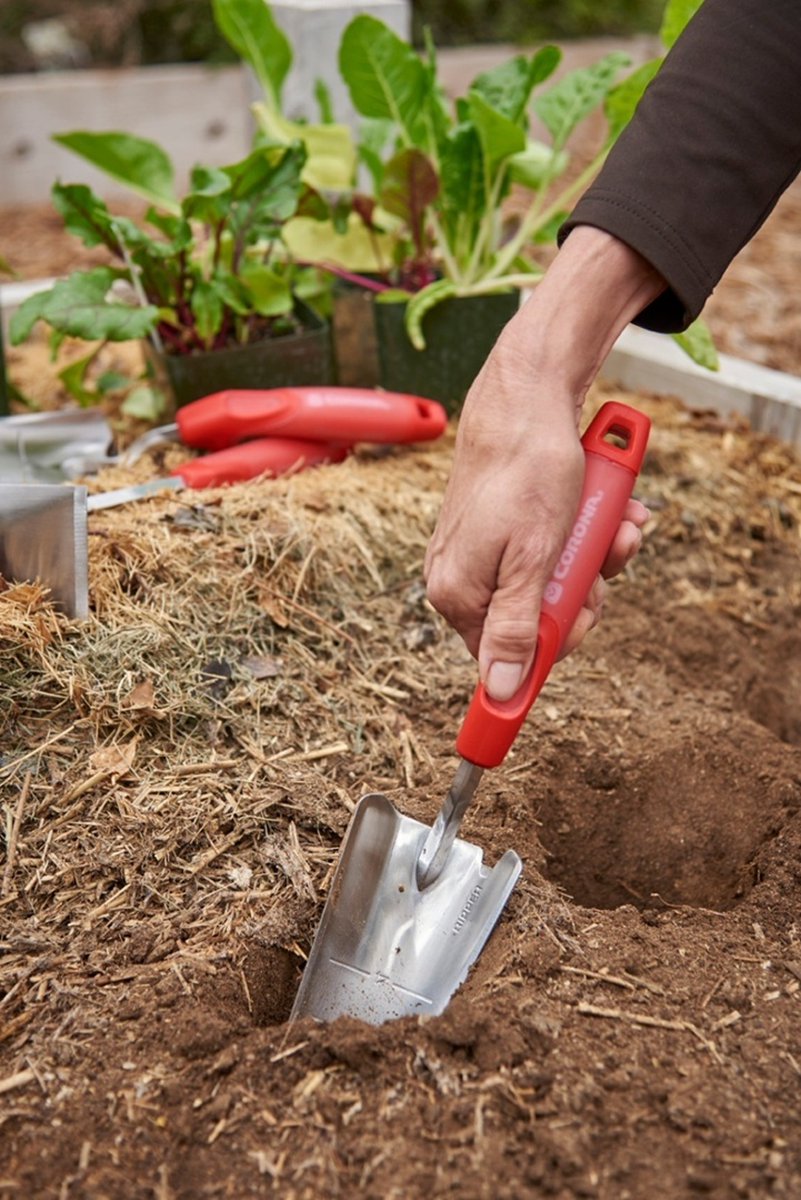 CoronaTools's tweet photo. Time to grab that planting trowel and get started on spring planting!
Comment below what you're planning on sowing this spring. 🪴 👩🏼🌾
#CoronaTools #progardentools #springseeds #trowel https://t.co/T6be7jYlki