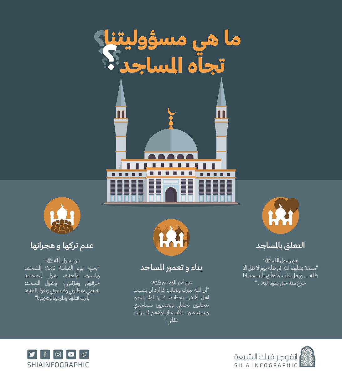 إنفوجرافيك الشيعة tweet media