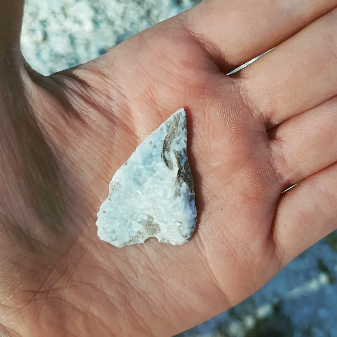 SealArchaeology's tweet photo. Wednesday I found a Neolithic arrowhead in the bottom of my feature... by far the coolest worked flint I have found yet. 🏹🪨

#archaeology #archaeologylife #neolithic #workedflint #flint #prehistoric #prehistory #archeological #dorsetarchaeology https://t.co/fa9QOKDh5M