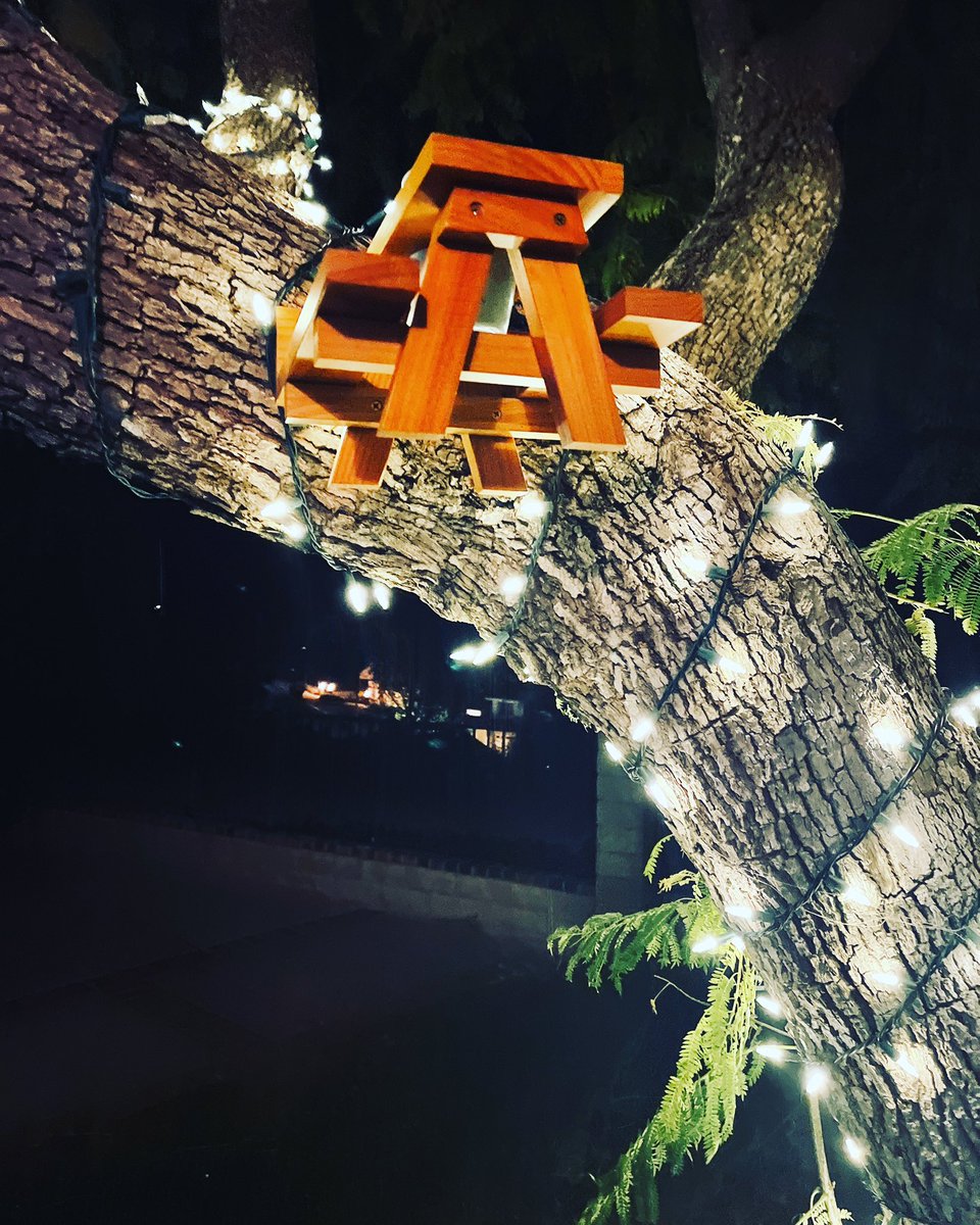 DanielleCasting's tweet photo. Squirrel party of two. #treetable #nutsforyou #mytreetable https://t.co/ruuk6X0Ybp