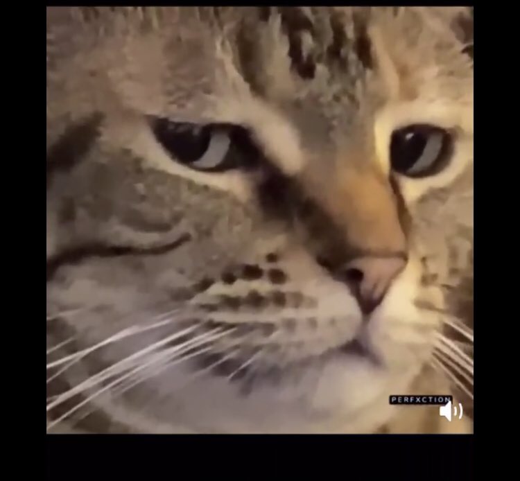 Coolcat255_'s tweet photo. @Skypso1 https://t.co/fuVJofNkZ8