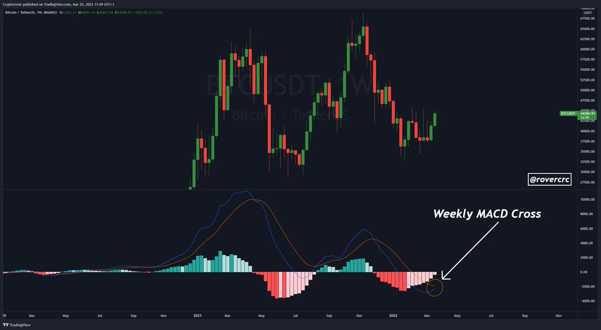 BSCGemsAlert's tweet photo. #Bitcoin Weekly Bullish MACD Cross incoming!

#Bullish #ALTSEASON #BSCGemsAlert https://t.co/pkZzvruscl