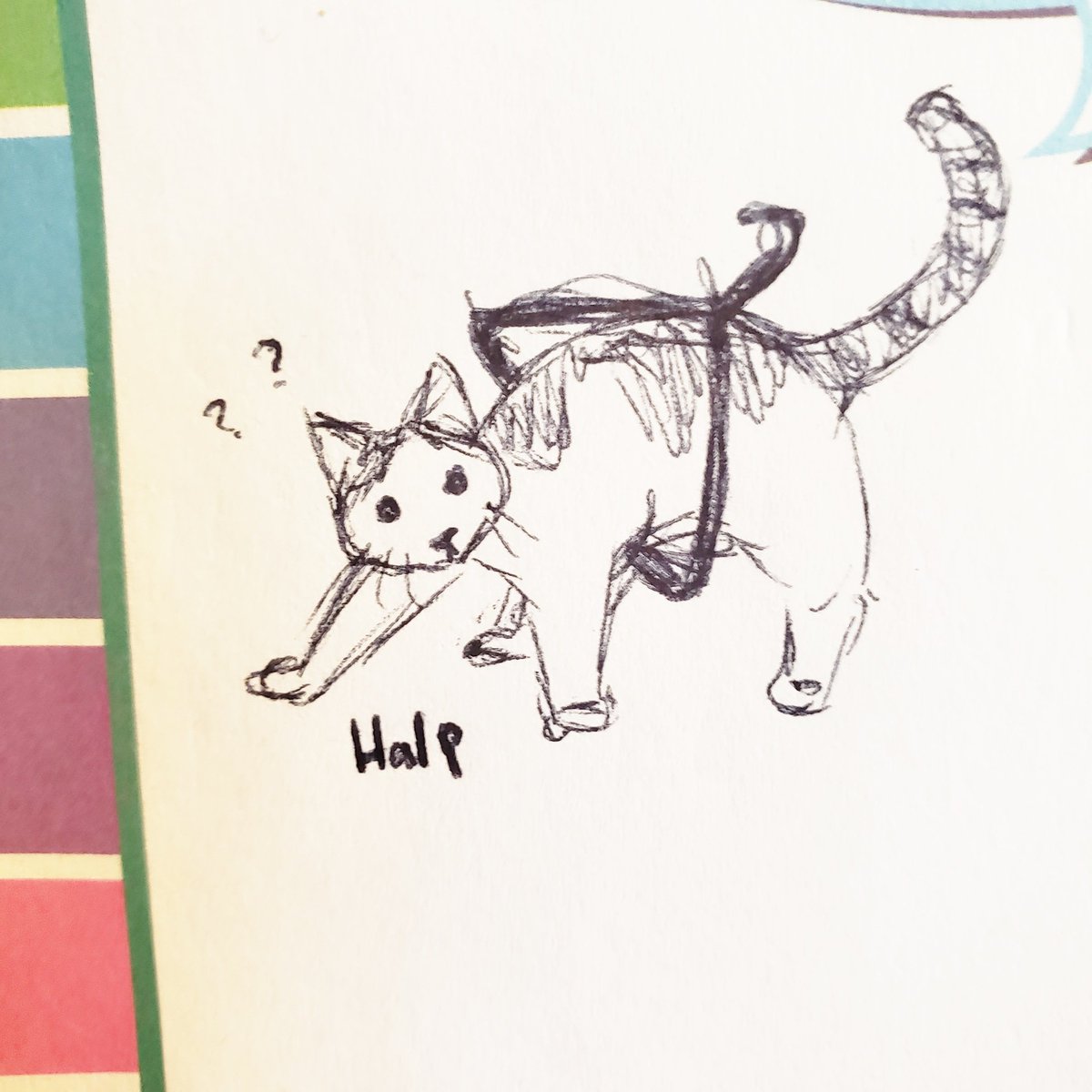 Its always okay to ask for help!
.
A lil doodle of our kitten Churro, who somehow got herself stuck in a hangar last night and was very confused 😂❤