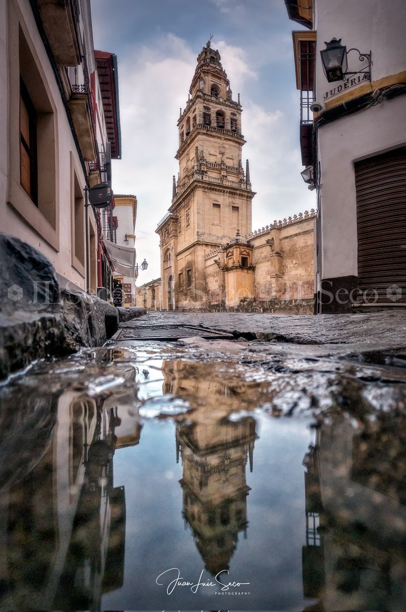 Cordoba_spain's tweet photo. ❤ Reflejarme en tu mirada al menos una vez más...

#CórdobaEsp https://t.co/cCrUBqDuuK