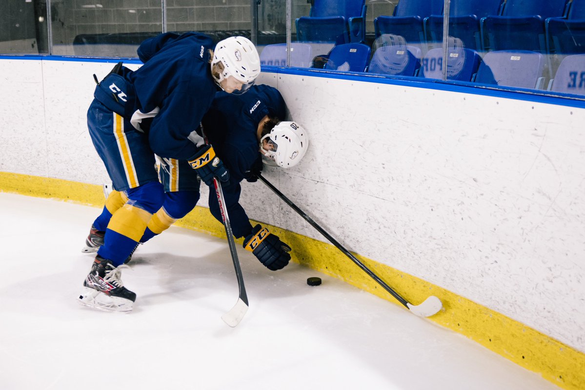 Djavad Mowafaghian Centre for Brain Health tweet media