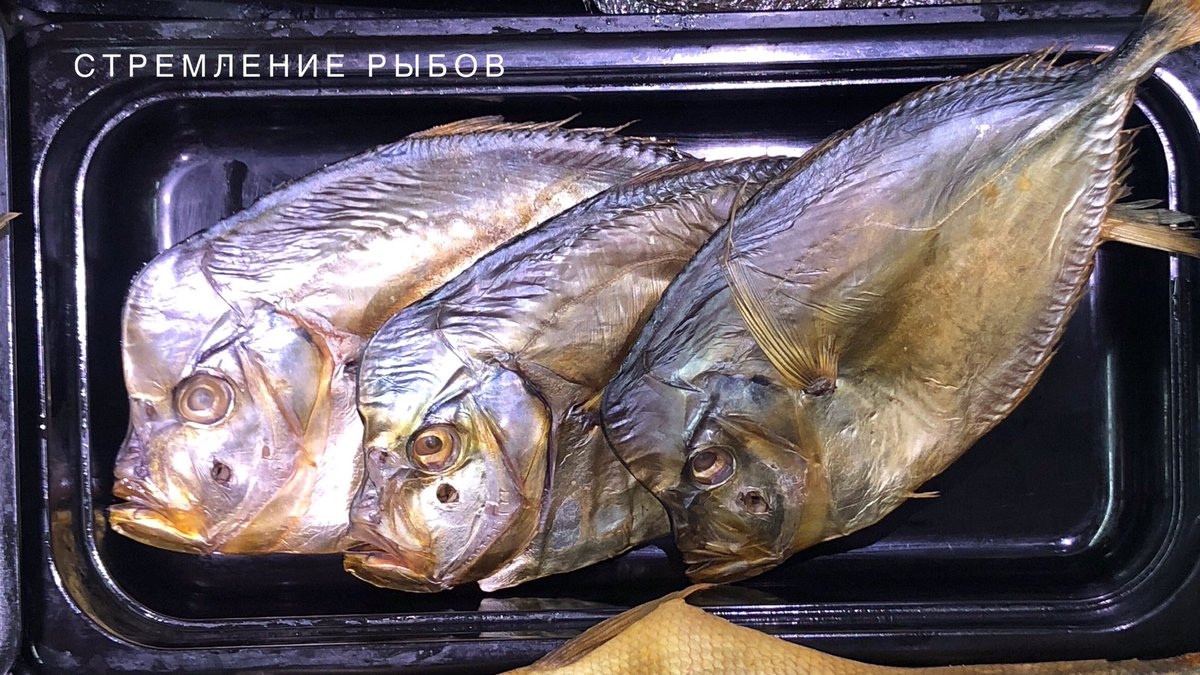 helpixel's tweet image. 