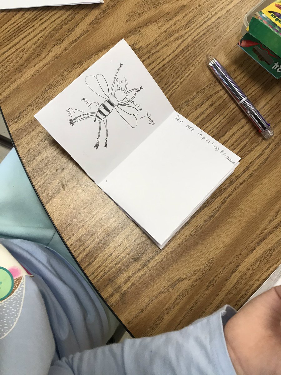 ATS_Davies's tweet image. We are absolutely buzzing about our bee books! Our mini books showcase all of our learning about these special pollinators! 🐝