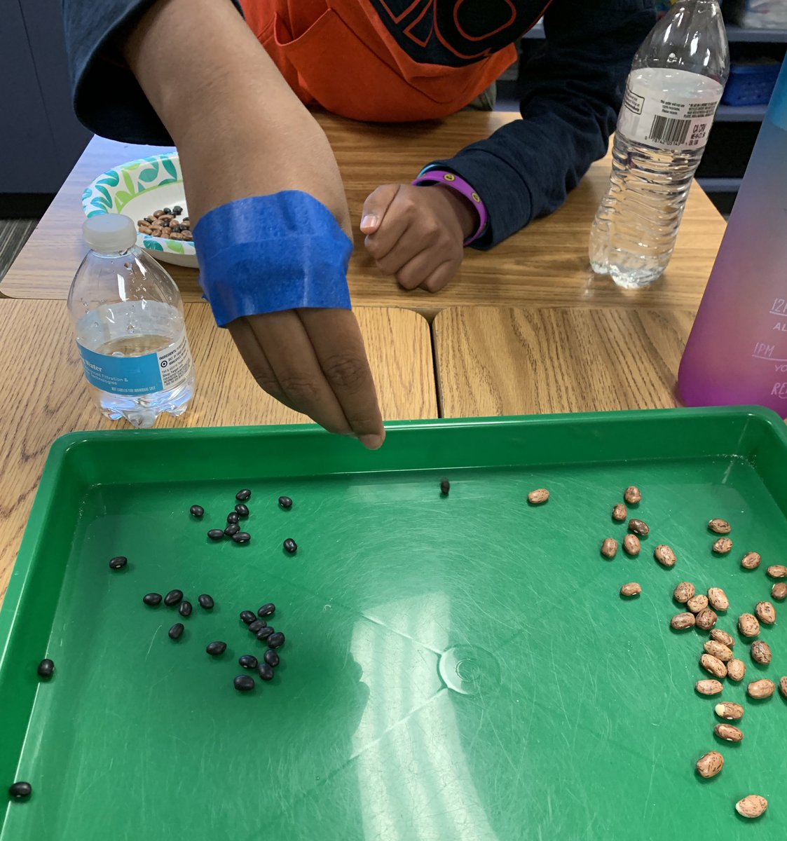 TollingerT's tweet image. Riddle 5th graders now appreciate their opposable thumbs even more than they did before.👍🏻 @JEFlemmer @mcleodl #FISDElemSci #adaptations @RiddleElem