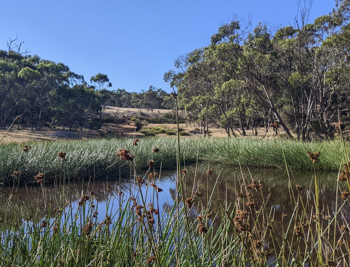 Catherine Young tweet media